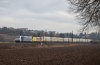 185 661(Paui) und 189 907 mit DGS 41852