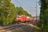 185 015 mit Sattelauflieger(KLV)/Tankcontainer 185 015 mit Sattelauflieger(KLV)/Tankcontainer