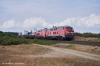 218 385 und 218 341 mit AZ/D 1429 218 385 und 218 341 mit AZ/D 1429