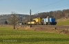 275 842 mit Kirow-Kran