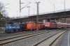 146 203 mit RE, 293 003 + 004, 270 003 (NIAG 6) und 52 7409