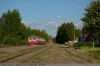 Y1 1314 und 1354 Y1 1314 und 1354