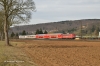 PbZ-D 2461