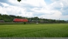 185 005 mit Güterzug
