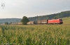 185 236 mit Güterzug 185 236 mit Güterzug