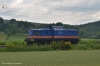 293 002 auf Tfzf