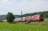218 494 und 218 326 mit IC 2013