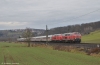 218 491 und 218 481 mit IC 2013